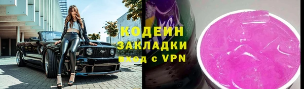 шишки Осинники
