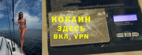 шишки Пересвет