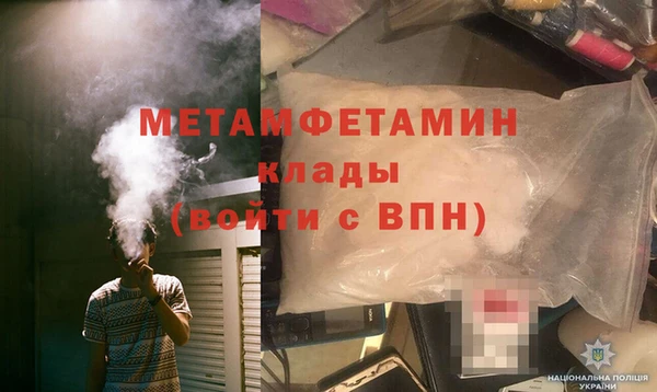 шишки Осинники