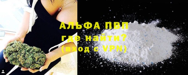 шишки Пересвет