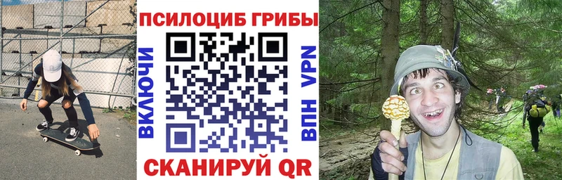 Галлюциногенные грибы GOLDEN TEACHER Котлас