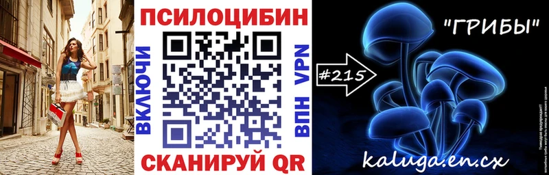 мега как войти  Котлас  Псилоцибиновые грибы ЛСД 
