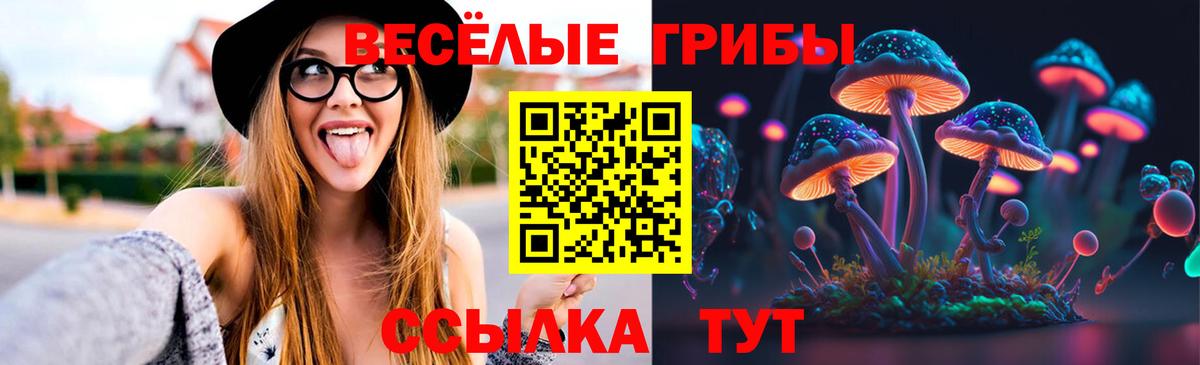 Галлюциногенные грибы ЛСД  Вход с VPN  Котлас 